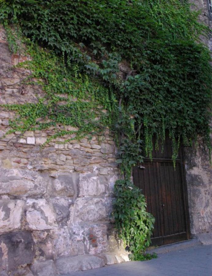 Aufhauser Hof Regensburg Eksteriør bilde